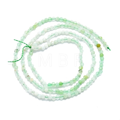 Natural Chrysoprase Beads Strands G-P457-A01-23-1