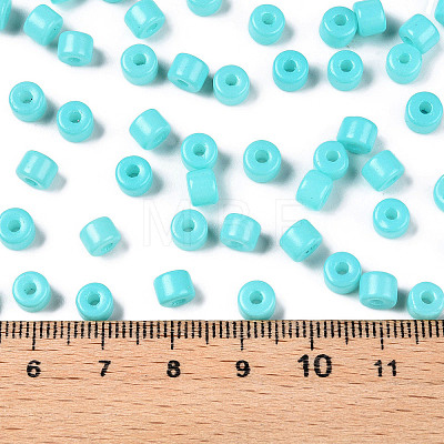 Opaque Baking Paint Glass Seed Beads SEED-T008-02O-1