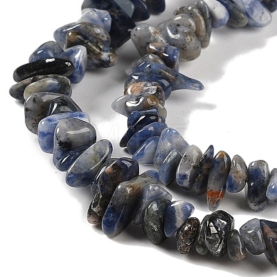 Natural Sodalite Beads Strands G-P530-A01-01-1