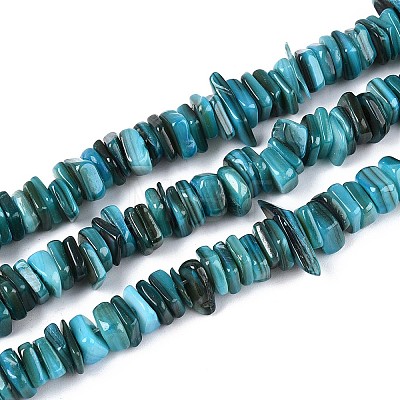 Natural Freshwater Shell Beads Strands SHEL-T020-40D-1