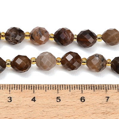 Natural Petrified Wood Beads Strands GG-CBA4A3B-A08-1