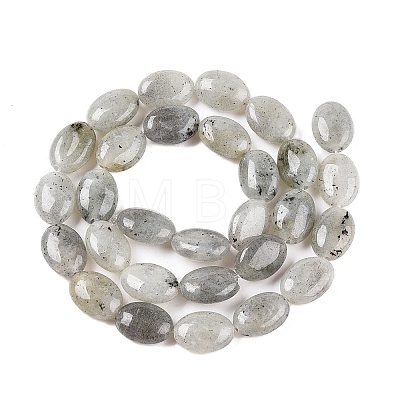 Natural Labradorite Beads Strands G-M206-42-1