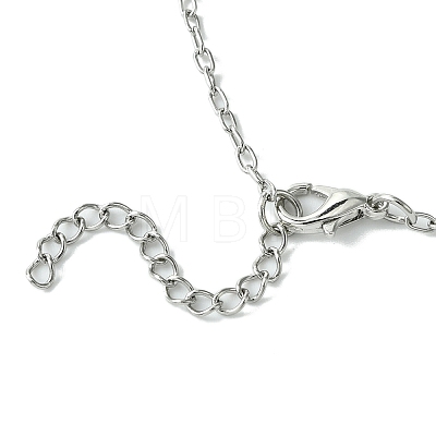 Gothic 304 Stainless Steel Cable Chain Necklaces NJEW-JN04983-01-1