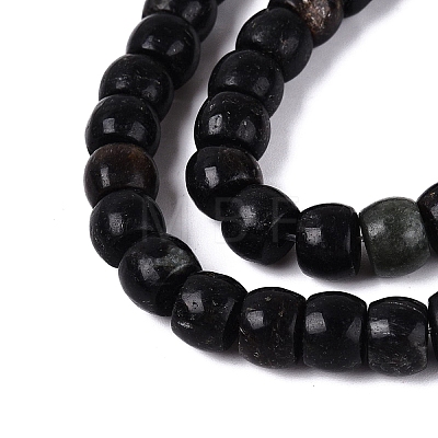 Natural Biotite Beads Strands G-Q616-02A-12-1