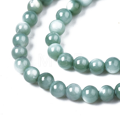 Natural Freshwater Shell Beads Strands X-BSHE-T009A-01J-1