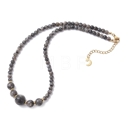 Natural Larvikite Round Graduated Beaded Necklaces NJEW-JN05654-03-1