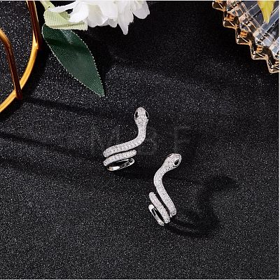 Clear Cubic Zirconia Snake Stud Earrings JE1077A-1