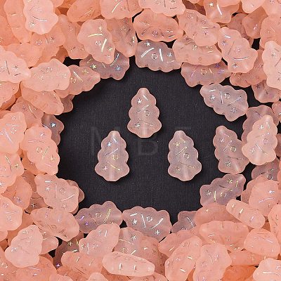 Frosted Transparent Acrylic Beads OACR-P029-04B-03-1