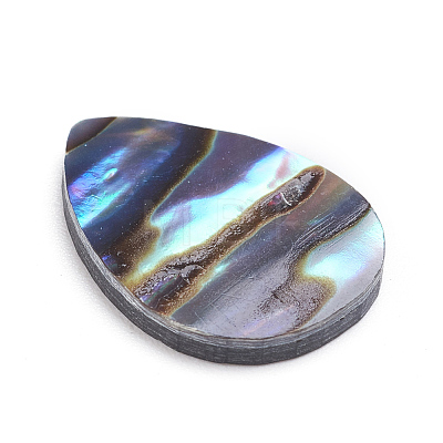 Natural Abalone Shell/Paua Shell Cabochons SSHEL-L017-002-1