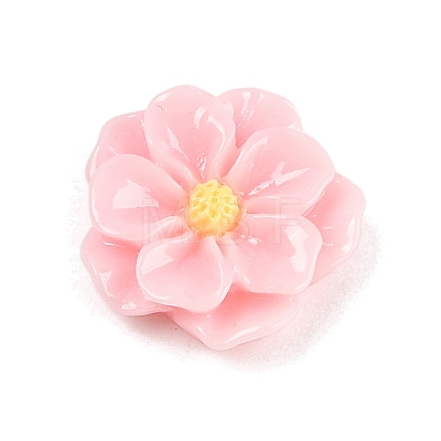 Opaque Resin Cabochons CRES-D283-01C-02-1