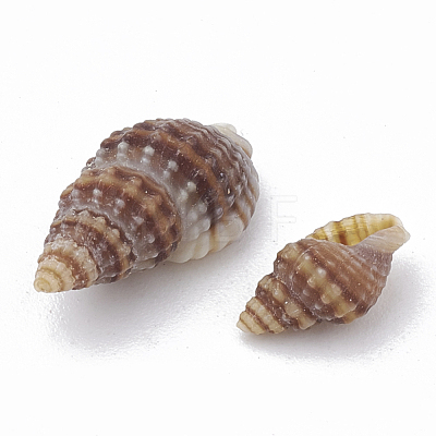 Sea Shell Beads X-SSHEL-S258-03-1