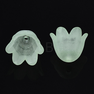 Transparent Acrylic Bead Caps FACR-N005-002C-1