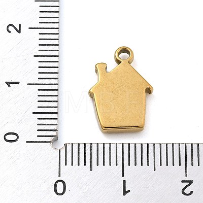 304 Stainless Steel Charms STAS-M084-01D-G-1