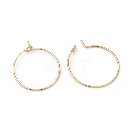 316L Surgical Stainless Steel Hoop Earring Findings STAS-G229-07G-03B-1