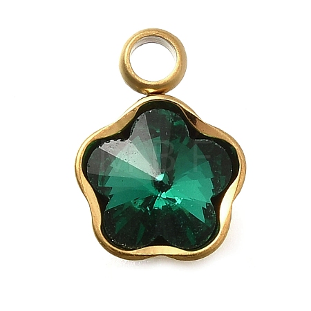 304 Stainless Steel Pendants STAS-Q346-02G-08-1