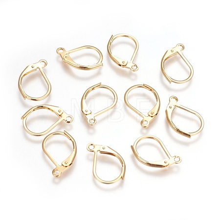 304 Stainless Steel Leverback Earrings Findings X-STAS-P227-47G-1