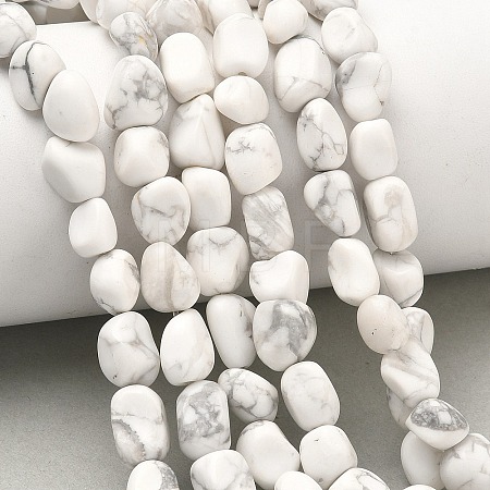 Natural Howlite Beads Strands G-C286-A20-1