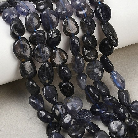 Natural Iolite Beads Strands G-C271-01-1