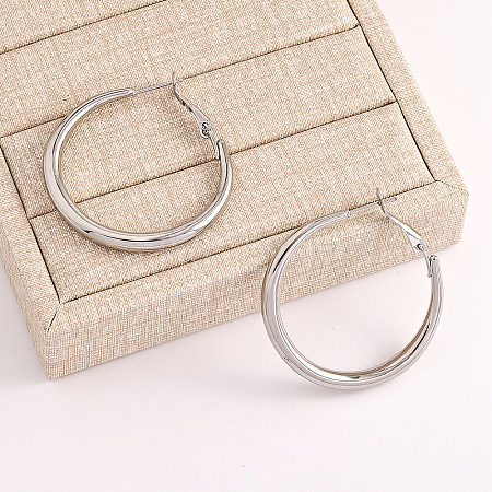 Alloy Hoop Earrings FS-WG81E20-07-1