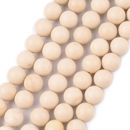 Natural Fossil Beads Strands X-G-E110-10mm-2-1