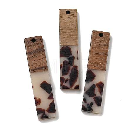Resin and Walnut Wooden Pendants FIND-B042-20E-1
