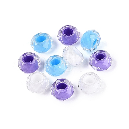 Resin European Beads RESI-Q236-01A-17-1