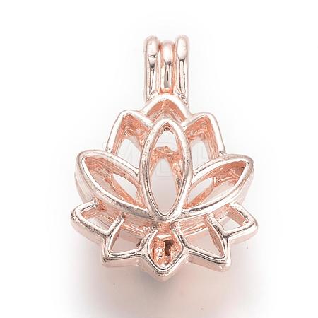 Alloy Diffuser Locket Pendants PALLOY-S062-40RG-1