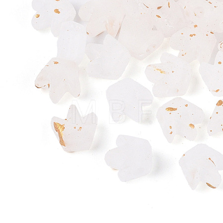 Frosted Transparent Acrylic Beads FACR-T009-01J-1