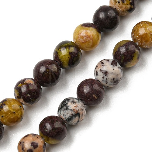 Natural Cherry Blossom Jasper Beads Strands G-C079-A02-03-1