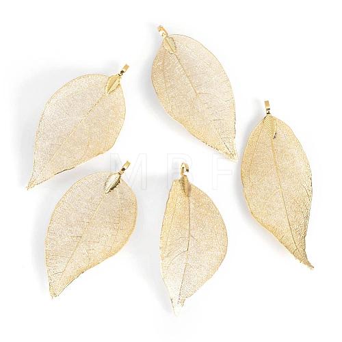 Electroplated Natural Leaf Big Pendants IFIN-Q119-01E-1