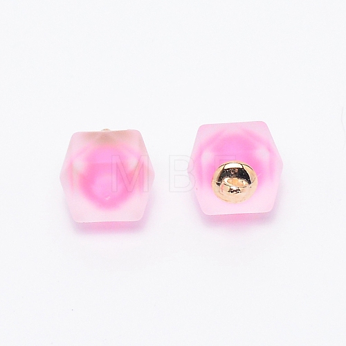 Resin Frosted Pendants MP-TAC0009-02E-1