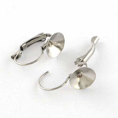 304 Stainless Steel Leverback Earring Findings STAS-R083-20-1