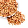 Picasso Glass Seed Beads GL-N001-02G-1