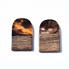 Transparent Resin & Walnut Wood Pendants RESI-T035-32C-2