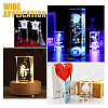 Transparent Glass Display Decorations DJEW-WH0010-41-7