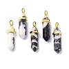 Natural Zebra Jasper Pointed Pendants G-G025-01G-26-1