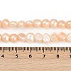 Natural Cultured Freshwater Pearl Beads Strands PEAR-P064-19H-02C-5