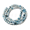 Natural Blue Ice Glacierite Stone Beads Strands G-G078-A01-05-2