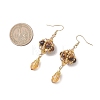 Natural Tiger Eye Dangle Earrings EJEW-MZ00669-02-4