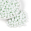 Opaque Baking Paint Glass Seed Beads SEED-N008-03A-08-1