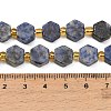 Natural Blue Spot Jasper Beads Strands G-F833-B16-01-4