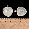 Natural Quartz Crystal Pendants G-B180-03G-12-3