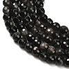 Natural Silver Obsidian Beads Strands G-C280-B08-6mm-4