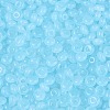 Transparent Glass Seed Beads SEED-Q041-01I-3