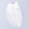 Ostrich Feather Costume Accessories FIND-R036-C-16-1