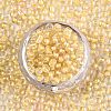 6/0 Glass Seed Beads X1-SEED-A015-4mm-2202-3