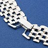 Iron Chunky Choker Necklaces NJEW-K261-11P-4