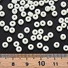 6/0 Glass Seed Beads SEED-T005-14-B17-5
