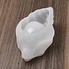 Conch Shaped DIY Storage Box Silicone Molds DIY-G109-02C-4