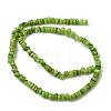 Dyed Natural Freshwater Shell Beads Strands SH-CBA2978-04B-3
